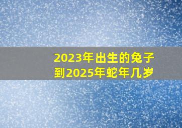 2023年出生的兔子到2025年蛇年几岁