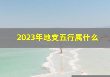 2023年地支五行属什么