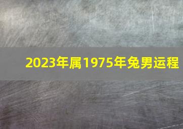 2023年属1975年兔男运程