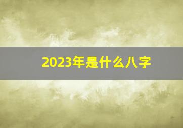 2023年是什么八字