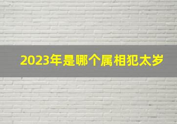 2023年是哪个属相犯太岁