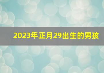 2023年正月29出生的男孩