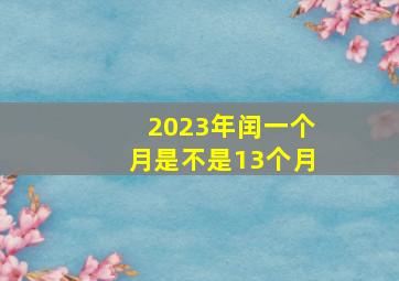 2023年闰一个月是不是13个月