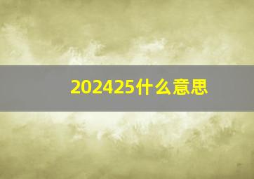 202425什么意思