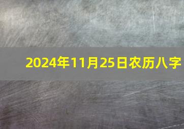 2024年11月25日农历八字