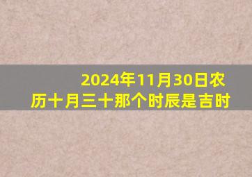 2024年11月30日农历十月三十那个时辰是吉时