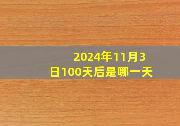 2024年11月3日100天后是哪一天