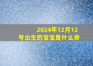 2024年12月12号出生的宝宝是什么命