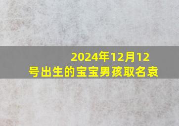 2024年12月12号出生的宝宝男孩取名袁