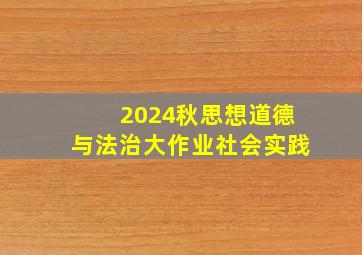 2024秋思想道德与法治大作业社会实践