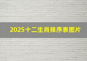 2025十二生肖排序表图片