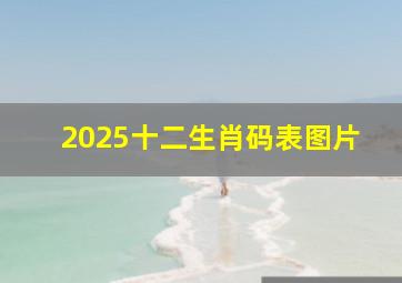 2025十二生肖码表图片