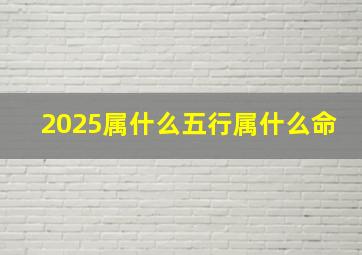 2025属什么五行属什么命