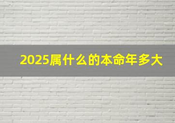 2025属什么的本命年多大