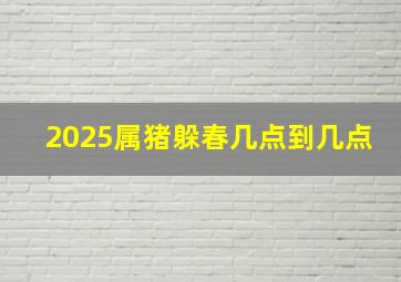 2025属猪躲春几点到几点