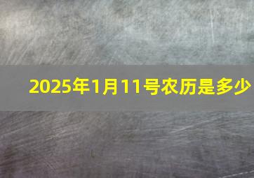 2025年1月11号农历是多少