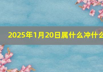 2025年1月20日属什么冲什么