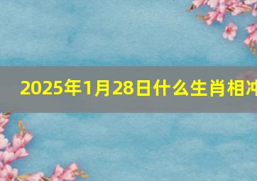 2025年1月28日什么生肖相冲