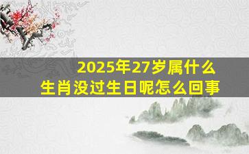 2025年27岁属什么生肖没过生日呢怎么回事