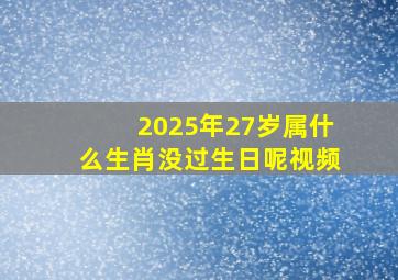 2025年27岁属什么生肖没过生日呢视频