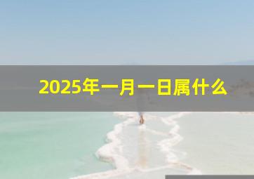 2025年一月一日属什么