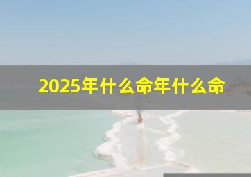 2025年什么命年什么命