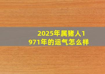 2025年属猪人1971年的运气怎么样