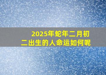 2025年蛇年二月初二出生的人命运如何呢