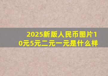 2025新版人民币图片10元5元二元一元是什么样