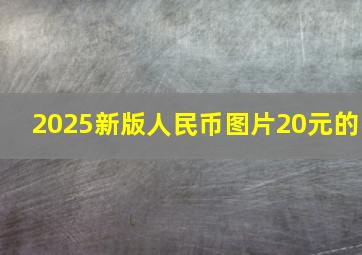 2025新版人民币图片20元的