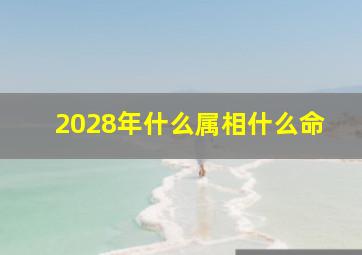 2028年什么属相什么命