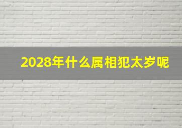 2028年什么属相犯太岁呢