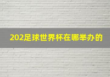 202足球世界杯在哪举办的