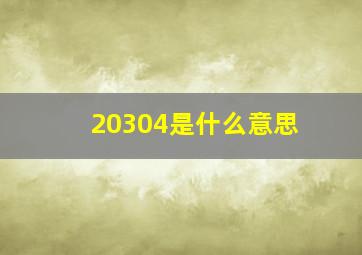 20304是什么意思