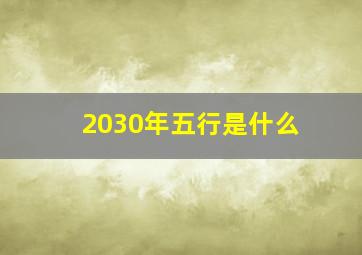 2030年五行是什么