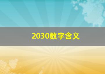 2030数字含义