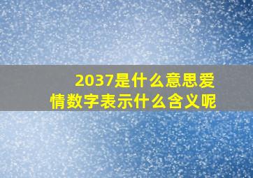 2037是什么意思爱情数字表示什么含义呢