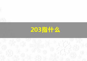 203指什么