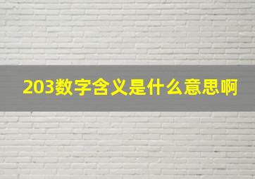 203数字含义是什么意思啊