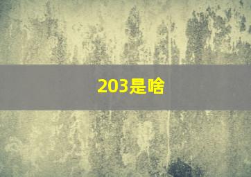 203是啥