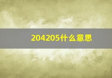 204205什么意思