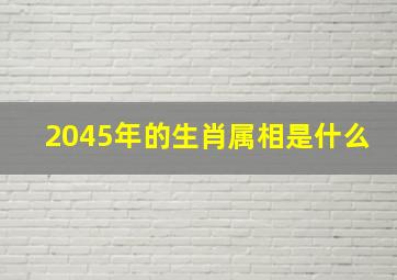 2045年的生肖属相是什么