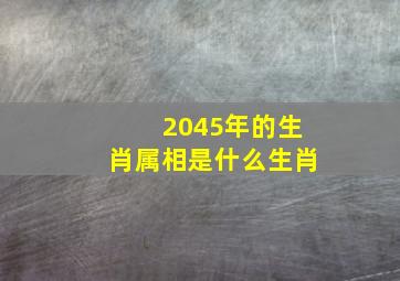 2045年的生肖属相是什么生肖