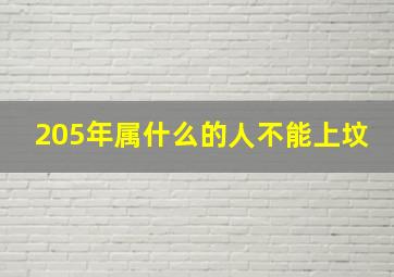 205年属什么的人不能上坟