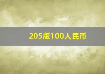 205版100人民币