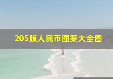 205版人民币图案大全图