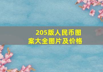 205版人民币图案大全图片及价格