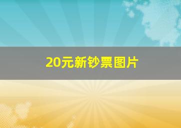 20元新钞票图片