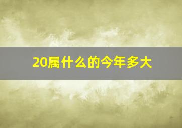 20属什么的今年多大