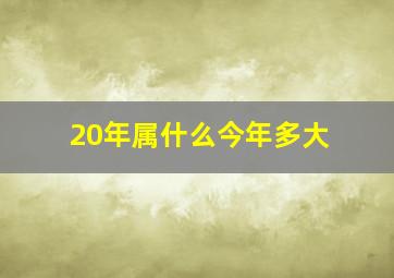 20年属什么今年多大